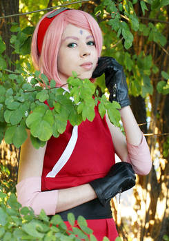 Sakura Haruno (The Last: Naruto the Movie)