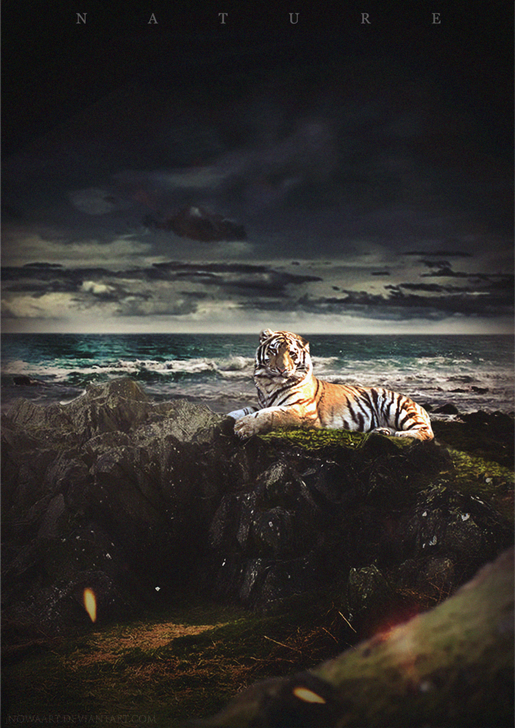 Nature by Nowaart Nature by Nowaart