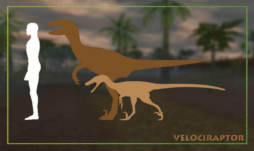 Crocodile Raptor Carnivores vs Reality: Velociraptor by KaiPapenhuzen35 on DeviantArt