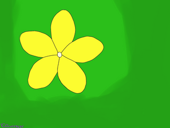 A Flower