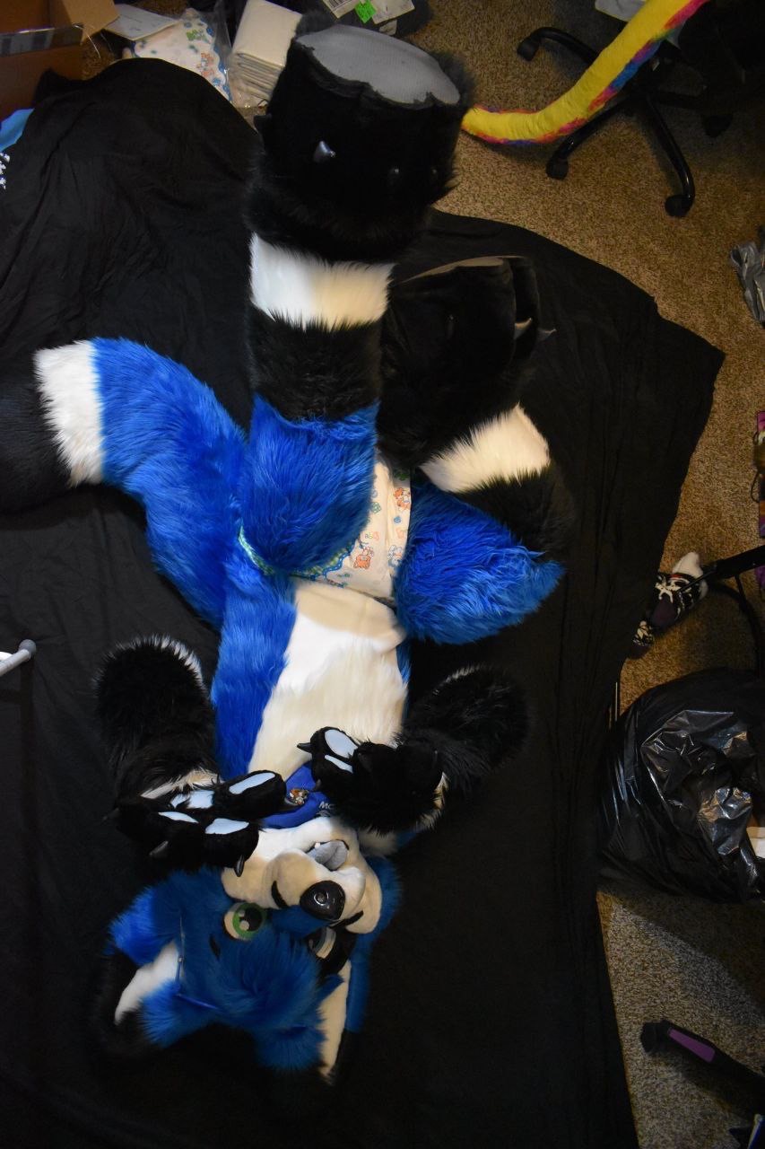 Diapered Fursuit 45 By DiaperedFursuits On DeviantArt diapered-fursuit-45-by-diaperedfursuits-on-deviantart