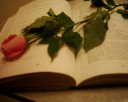 rose on book