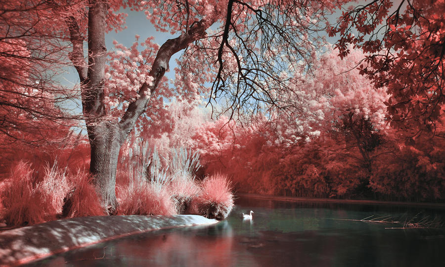 River of dreams