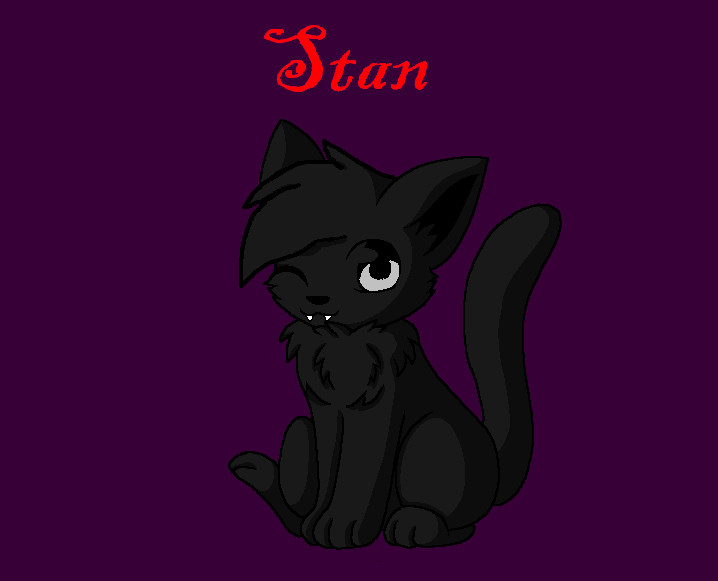 Stan the kitty