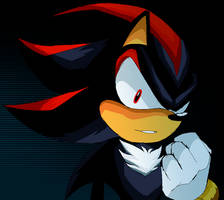 SA2 Shadow