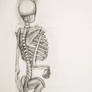 Skelly