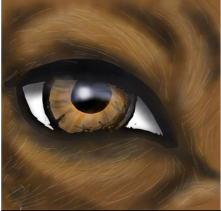 Wolf Eye