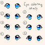 Eye Coloring Study