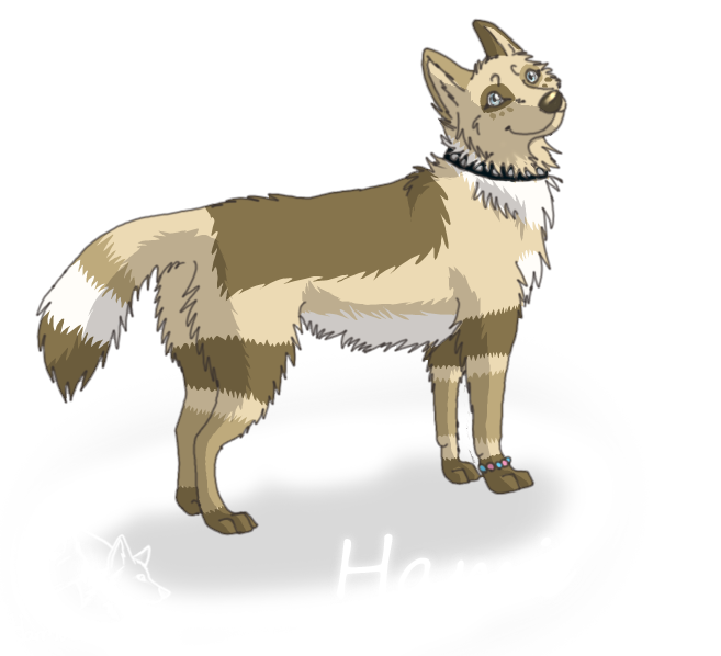 Hami ID