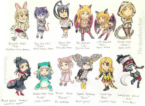 Soul Eater x Kemono Friends Design Set