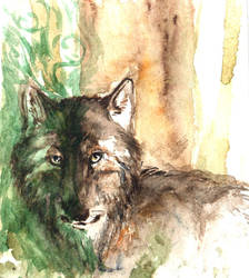 Forestwolfness