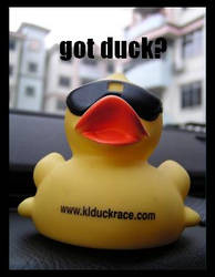 got duck?