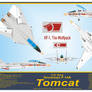 Grumman F-14A Tomcat Print