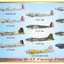 Boeing B-17 Flying Fortress History Print