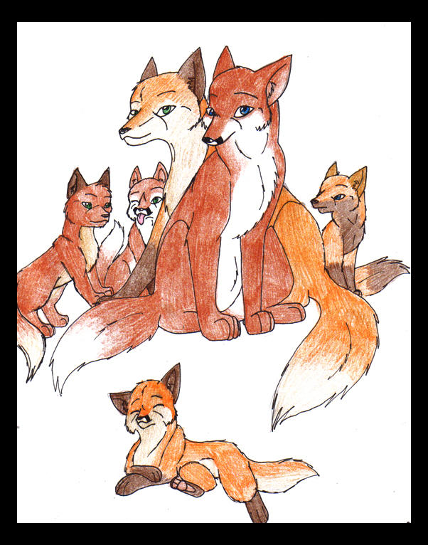 More foxes ... by Norwlin on DeviantArt