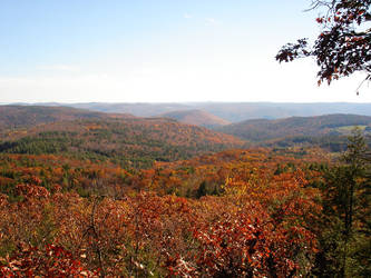 New England Fall