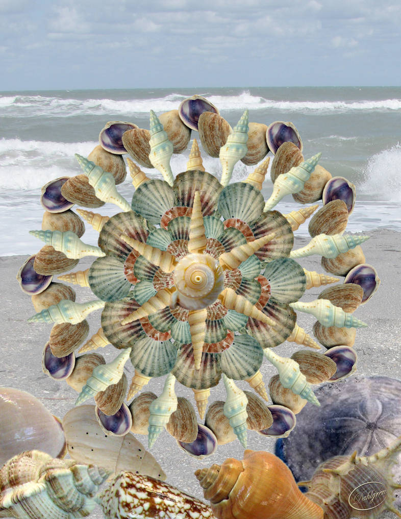 Shell Mandala by kdahlgren001 on DeviantArt
