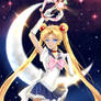 Princess sailor moon!