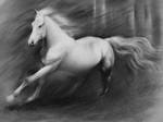 Horse Drawing by centralunrest