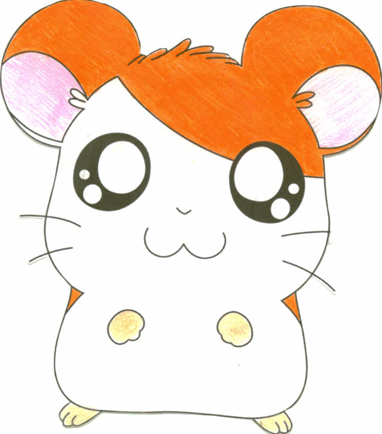 HAMTARO