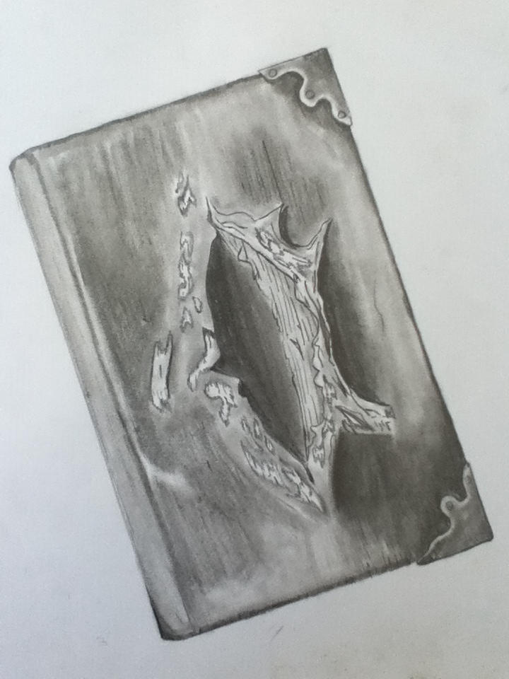 Tom Riddles Diary by jundals on DeviantArt