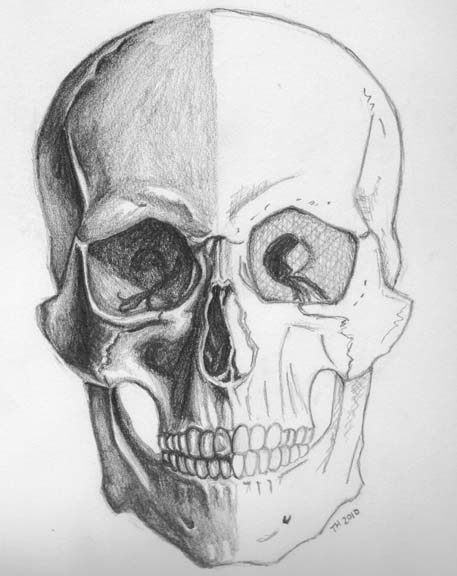 THF_skull2