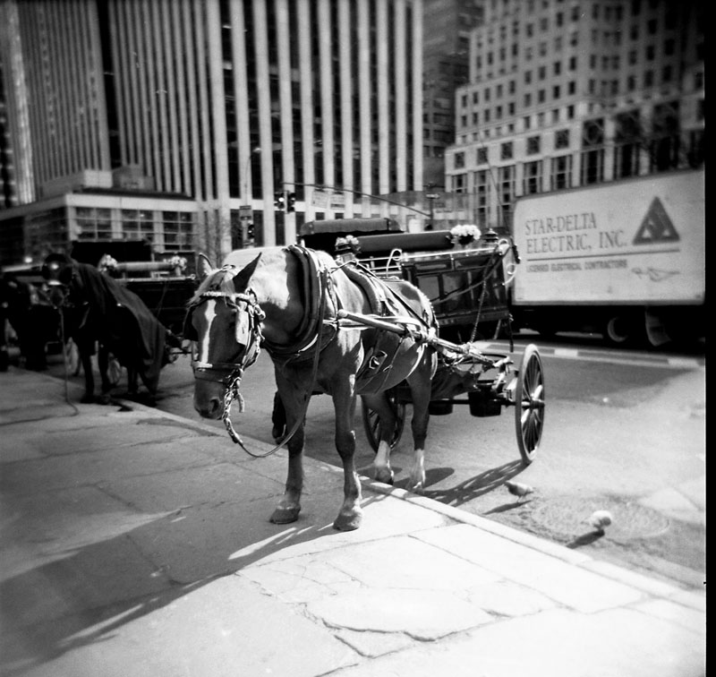 nyc holga 3