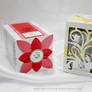 flower tea packaging design 2