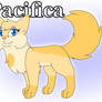 Gravity Falls Catified: Pacifica Northwest