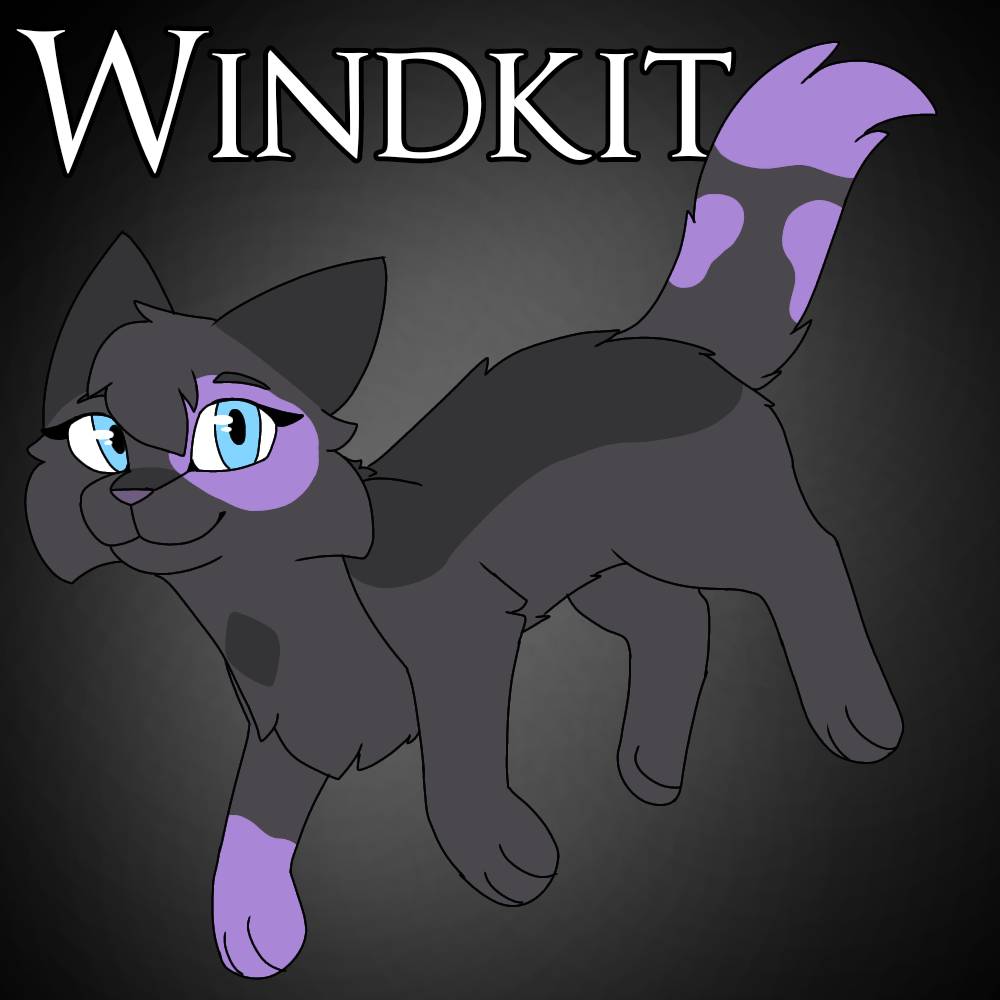 Elementals OC: Windkit by T0rnad01 on DeviantArt