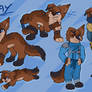 Ninjago: Jay Walker