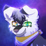 New profile
