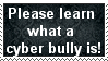 Please learn what a cyber bully is