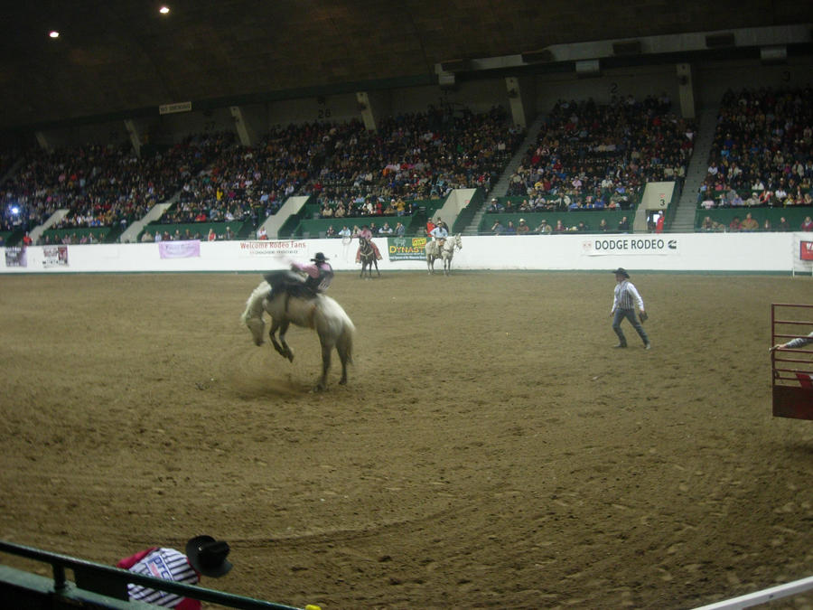 Bronc Riding by CrimsonBlush on DeviantArt
