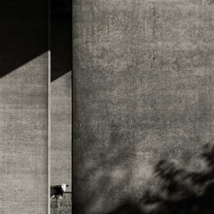 Under The Bridge
