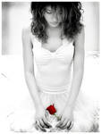 Red Rose by Emindeath