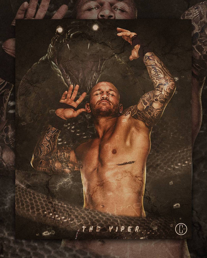RANDY ORTON - THE VIPER | POSTER by NaufalRafifans on DeviantArt