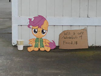 HOMELESS SCOOTALOO