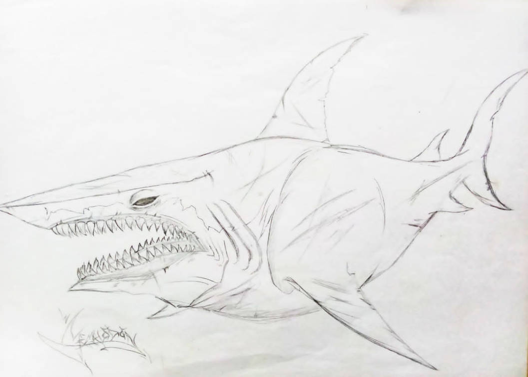 Drawing ancient beast megalodon sketch by Milhamnaufall on DeviantArt