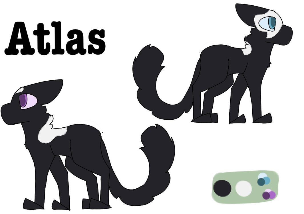 atlas cat ref by M0Onglrl on DeviantArt
