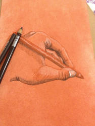 Hand study in conte