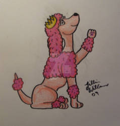 Pink Poodle