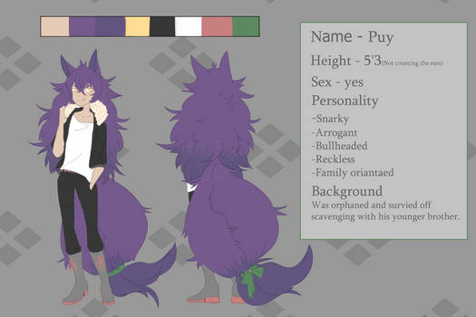 Puy Reference Sheet