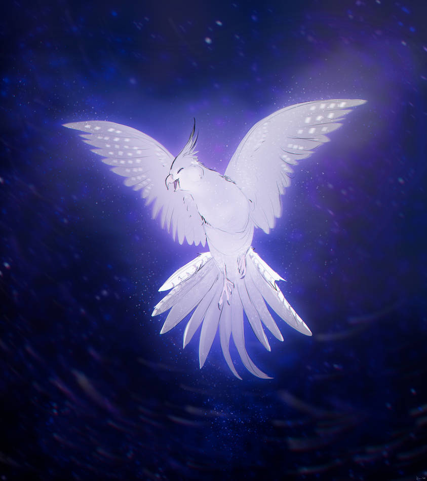 Leader Of the Light by Heichukar