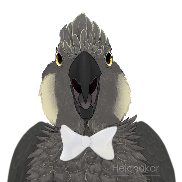 Squawk Monster Squawk by Heichukar on DeviantArt