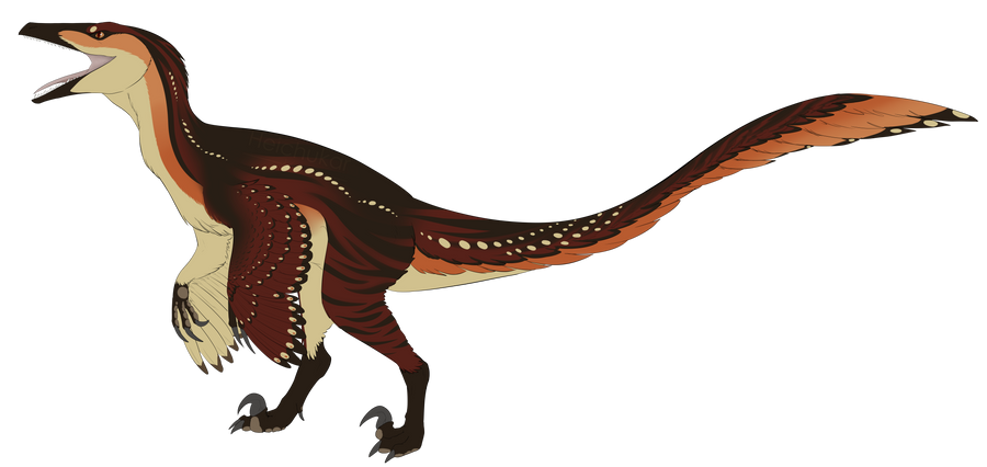 Raptor design commission by Heichukar on DeviantArt