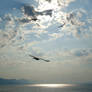 Sea and sky, Splitski kanal