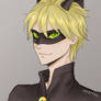 Grown up Chat Noir