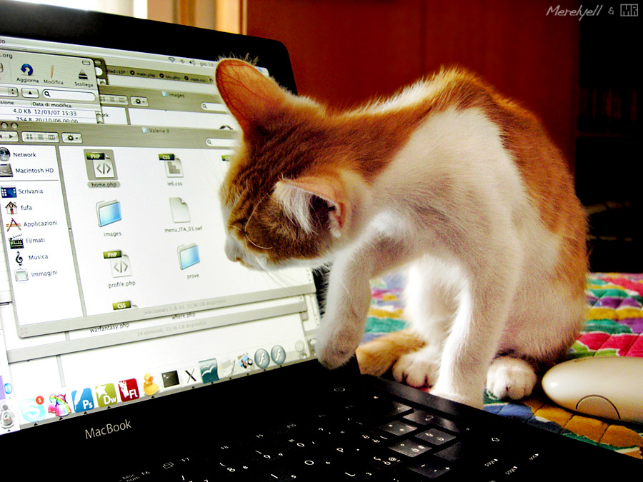 Mac Addicted Cat by AlienDrawer