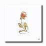 Golden Rose in Stillness